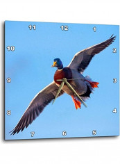 Mallard Duck Printed Analog Wall Clock Multicolour 15x15x0.1inch