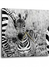 Zebra Baby Wall Clock Multicolour 15x15inch