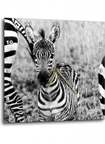 Zebra Baby Wall Clock Multicolour 15x15inch