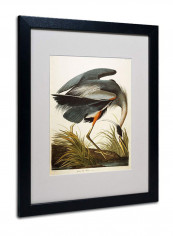 Great Blue Heron Matted Framed Wall Art Multicolour 16 x 20inch