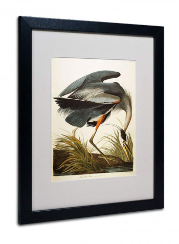 Great Blue Heron Matted Framed Wall Art Multicolour 16 x 20inch