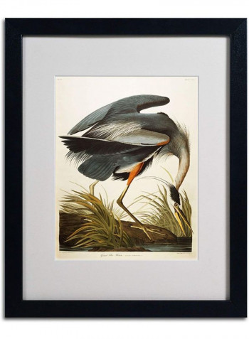 Great Blue Heron Matted Framed Wall Art Multicolour 16 x 20inch
