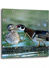 Duck Themed Wall Clock Multicolour