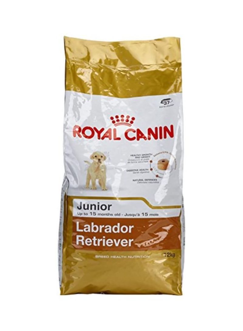 Labrador Retriever Breed Health Nutrition 12kg
