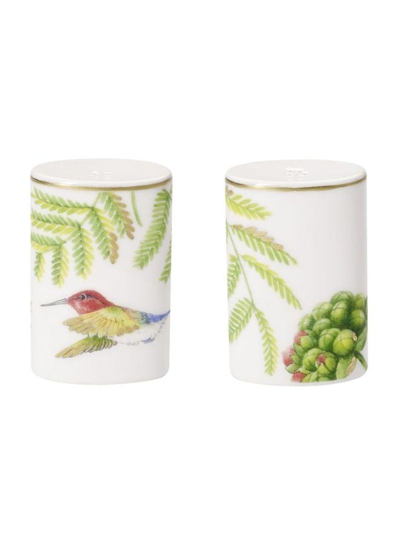 2-Piece Amazonia Anmut Salt And Pepper Set White/Green/Red 150x150x80millimeter