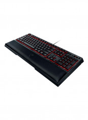 Destiny 2 Ornata Chroma Gaming Keyboard Black reviews Destiny 2 Ornata Chroma Gaming Keyboard Black