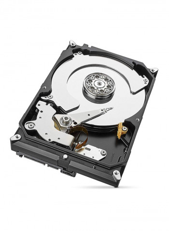 SkyHawk Internal Surveillance Hard Drive 4TB Silver
