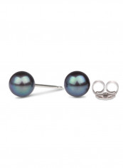 Freshwater Pearl Stud Earring reviews Freshwater Pearl Stud Earring