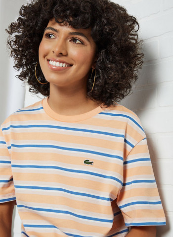 Striped Cotton T-Shirt Multicolour