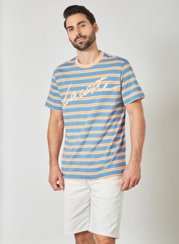 Striped Crew Neck T-Shirt Multicolour