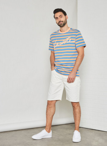 Striped Crew Neck T-Shirt Multicolour