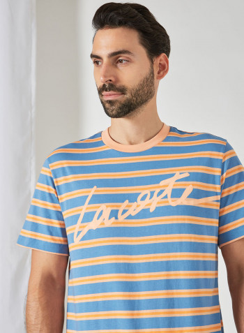 Striped Crew Neck T-Shirt Multicolour