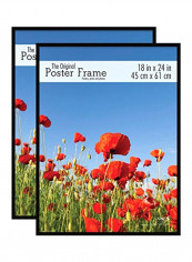 2-Piece Poster Frame Black 18x24inch