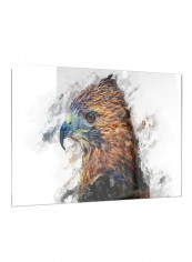 Hawk Eye Metal Wall Art Brown/Grey 12 x 28 x 1inch