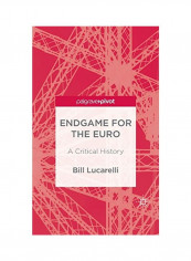 Endgame For The Euro: A Critical History Hardcover