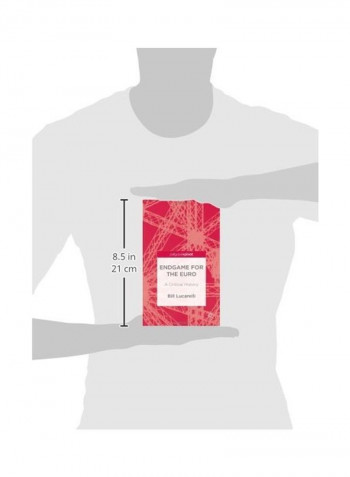 Endgame For The Euro: A Critical History Hardcover