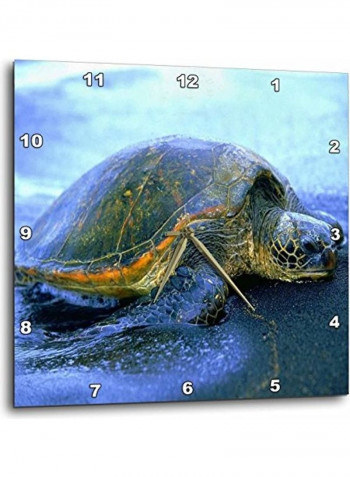 DPP 80273 3 Hawaiian Sea Turtle Wall Clock Multicolour 15x15inch