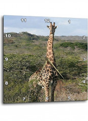 South African Giraffe Printed Wall Clock Multicolour 15x15x0.1inch