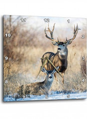 Mule Deer Printed Wall Clock Multicolour 15x15inch