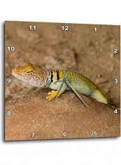 Collared Lizard Wall Clock Multicolour 15 X 15inch