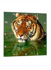 Bengal Tiger Printed Wall Clock Multicolour 13 x 13inch