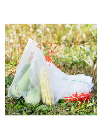 100-Piece Netting Garden Fruit Barrier Cover Bag Clear/Red 55x35cm