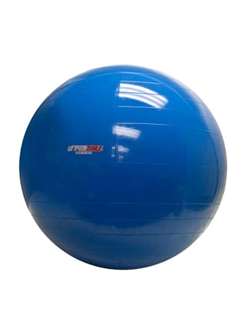 Enterprises Physio Gymnic Inflatable Exercise Ball