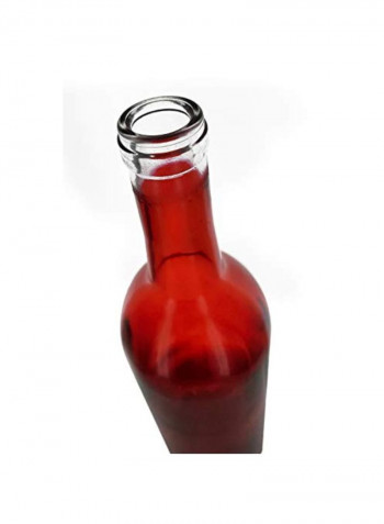 12-Piece Bordeaux Bottle Set Red/Clear 750ml