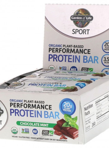 Pack Of 12 Organic Plant-Based Performance Protein Bars