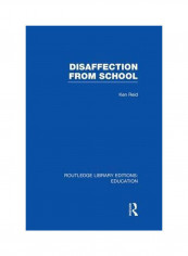 Disaffection From School Paperback