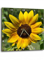 Flowers Picture Wall Clock Yellow 15 x 15inch reviews Flowers Picture Wall Clock Yellow 15 x 15inch