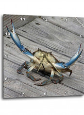 Marine Crab Wall Clock Multicolour 15x15inch reviews Marine Crab Wall Clock Multicolour 15x15inch