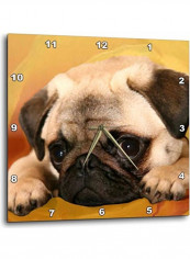 Pug Printed Wall Clock Multicolour 15x15inch reviews Pug Printed Wall Clock Multicolour 15x15inch