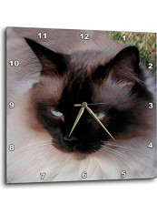 Siamese Cat Wall Clock Multicolour 15x15inch reviews Siamese Cat Wall Clock Multicolour 15x15inch