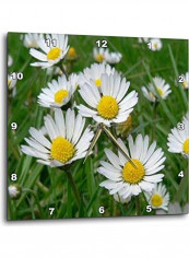 Printed Wall Clock Multicolour 15x15inch reviews Printed Wall Clock Multicolour 15x15inch
