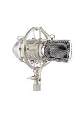 Professional Broadcasting Studio Condenser Microphone Kit