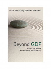 Beyond GDP: Measuring Welfare and Assessing Sustainability Hardcover