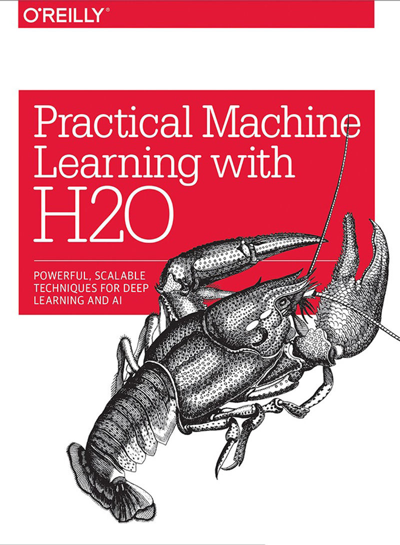 Practical Machine Learning With H2O: Powerful, Scalable Techniques For AI And Deep Learning Paperback