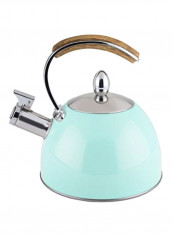 Stainless Steel Tea Kettle Turquoise/Silver/Black 70ounce
