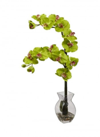 Phalaenopsis Orchid Silk Flower With Vase  Green 24inch