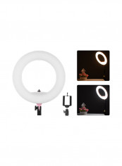 Dimmable LED Ring Light 38watts Pink