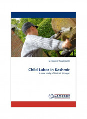 Child Labor In Kashmir Paperback