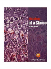 Histology At A Glance Paperback reviews Histology At A Glance Paperback