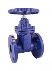 Classic Handwheel Operated Gate Valve Blue 2inch reviews Classic Handwheel Operated Gate Valve Blue 2inch