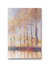 Point Reyes Ii Framed Wall Art multicolour 11 x 14inch