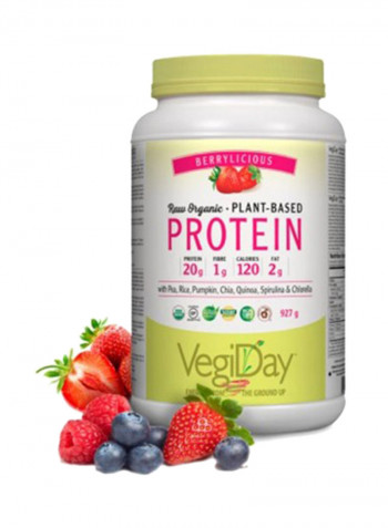 VegiDay Raw Organic Plant Based Protein
