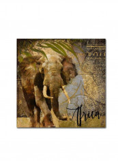 Taste Of Africa I Framed Wall Art Multicolour 11 x 11inch