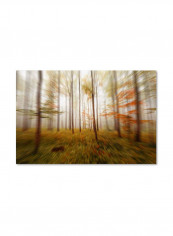 Autumn Go Fast Canvas Wall Art Multicolour 16 x 24inch