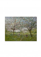 Trees In Flower Canvas Wall Art multicolour 18 x 24inch
