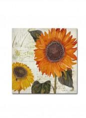 Sundresses I Wooden Framed Wall Art Yellow/Red 11 x 11inch